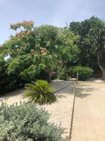 Villa Olivia, Κόλπος των Κοραλλιών Εξωτερικό φωτογραφία