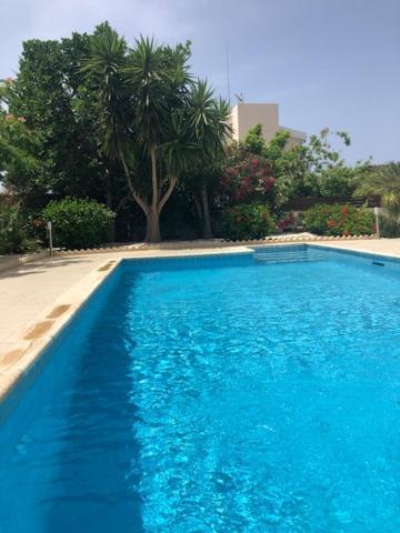 Villa Olivia, Κόλπος των Κοραλλιών Εξωτερικό φωτογραφία