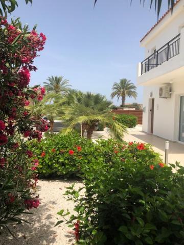 Villa Olivia, Κόλπος των Κοραλλιών Εξωτερικό φωτογραφία